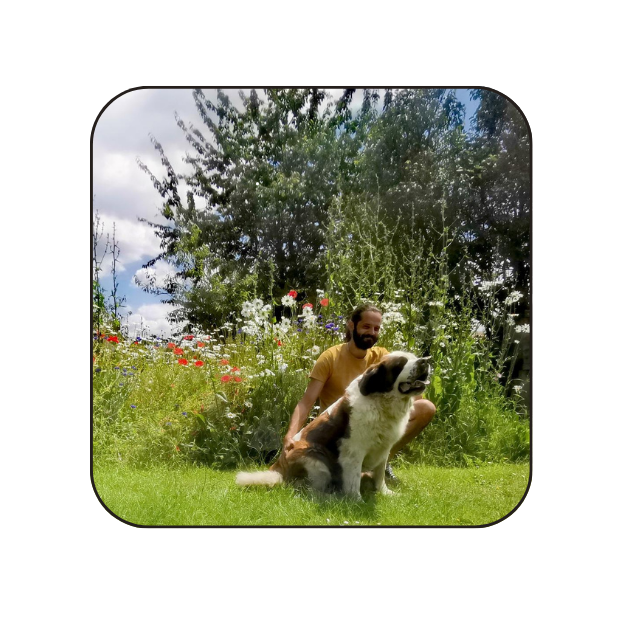 Garde de chiens à Bosgouet